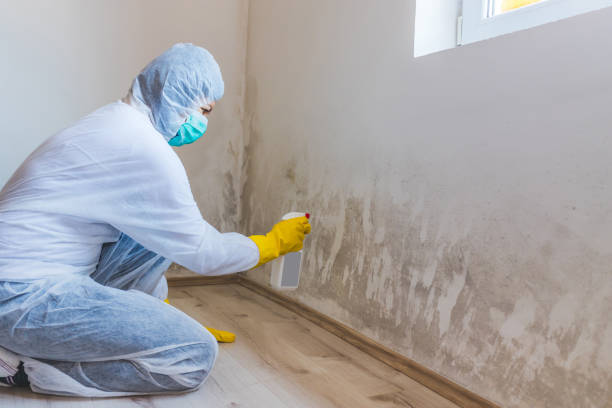 Attic mold on roof deck in Farmersville home