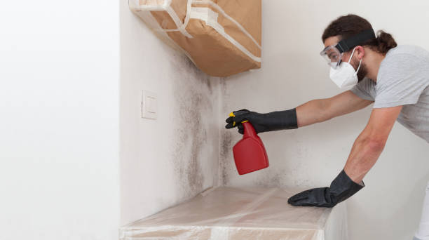 Attic Mold Remediation treatment on roof deck in Farmersville